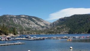 Pinecrest